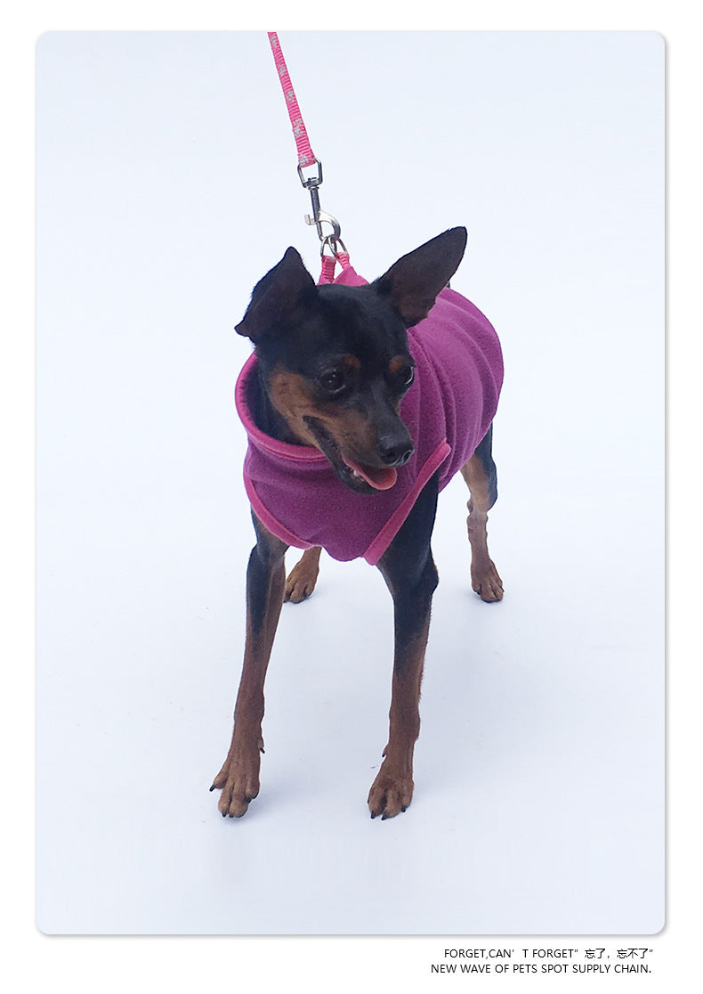 Pet clothing