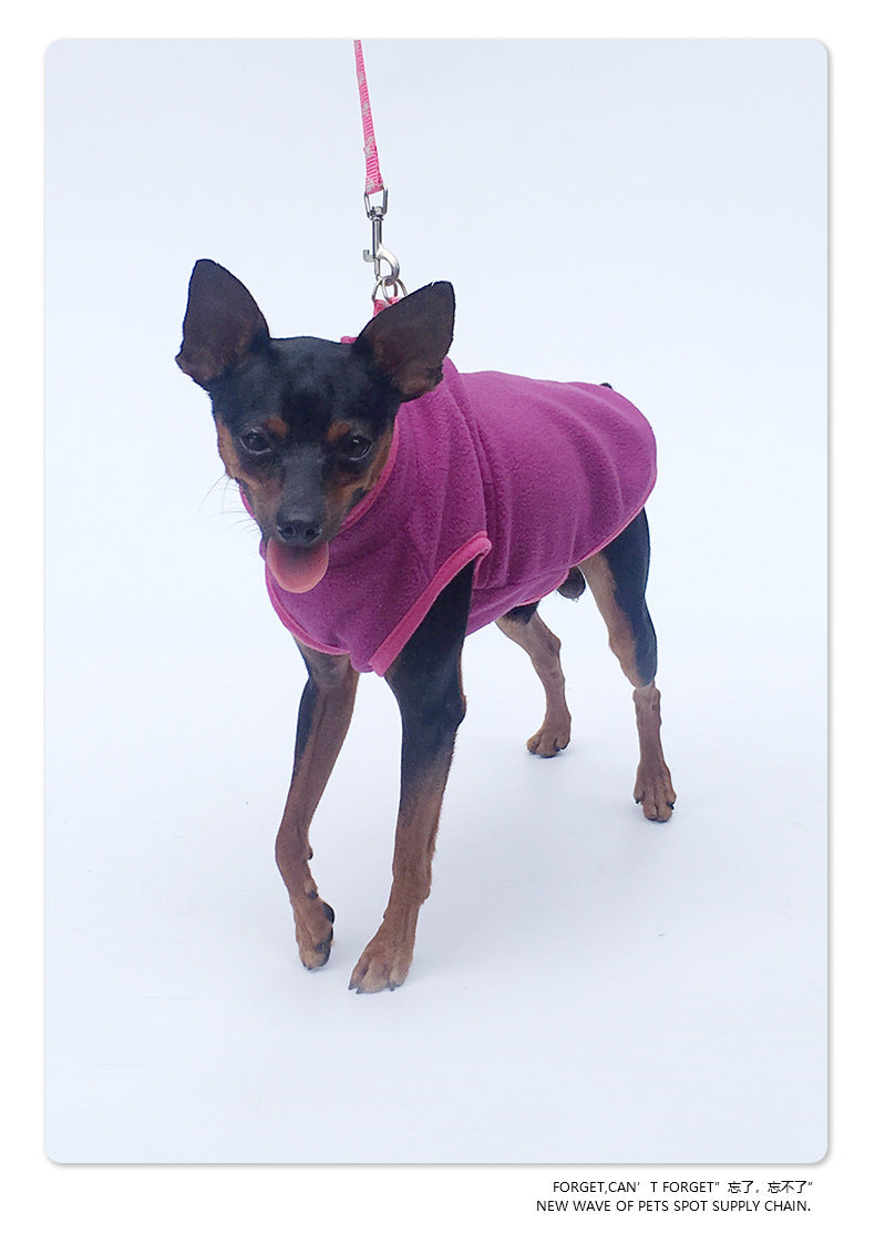 Pet clothing