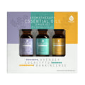 Aromatherapy Essential oils (Lavender, Eucalyptus, Frankincense)